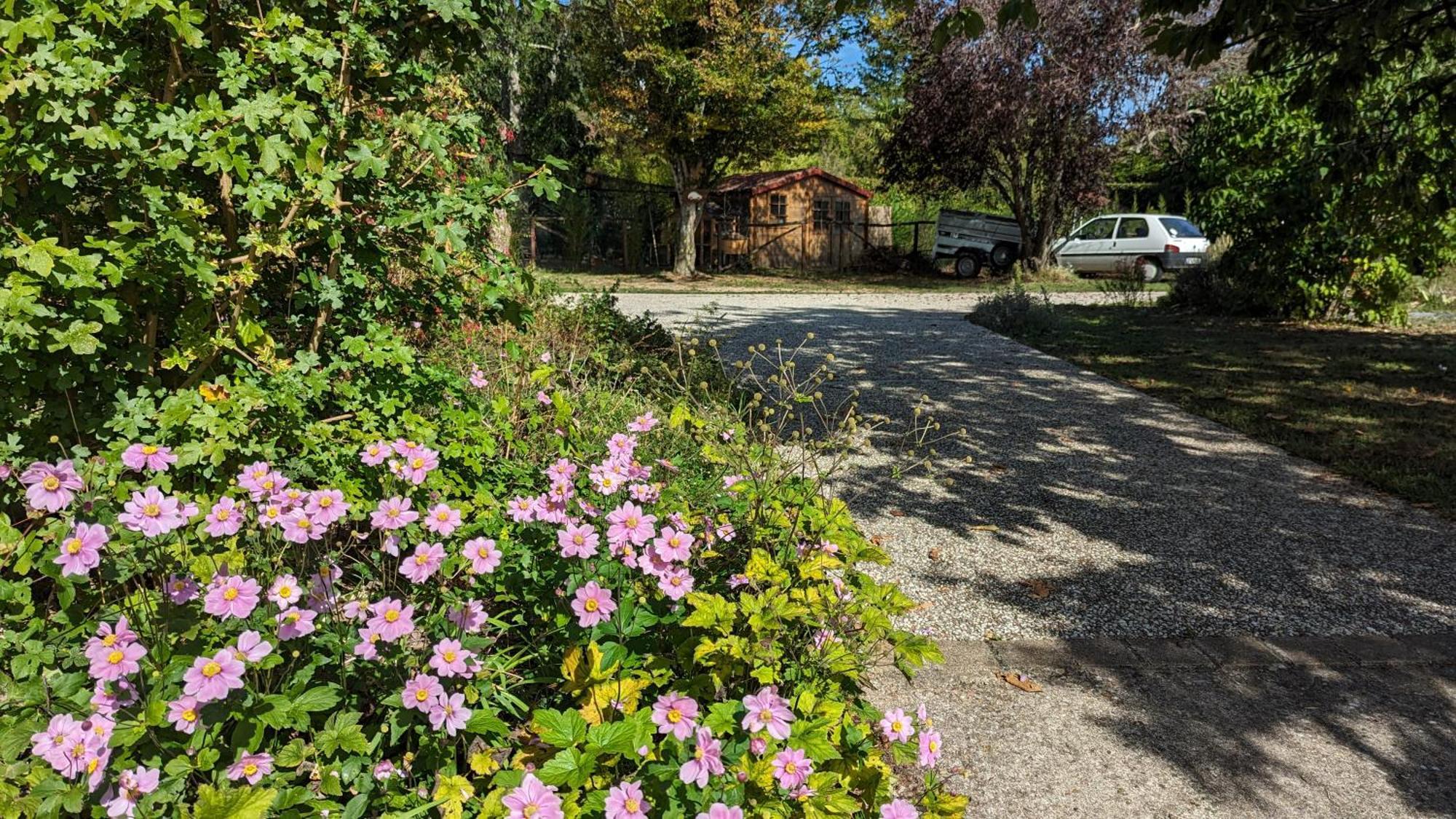 Au Bonheur De Cisse Bed & Breakfast Chouzy-sur-Cisse Luaran gambar